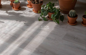 Vinilam Click 3.7мм 20468 Дуб Ален фото 3 | FLOORDEALER